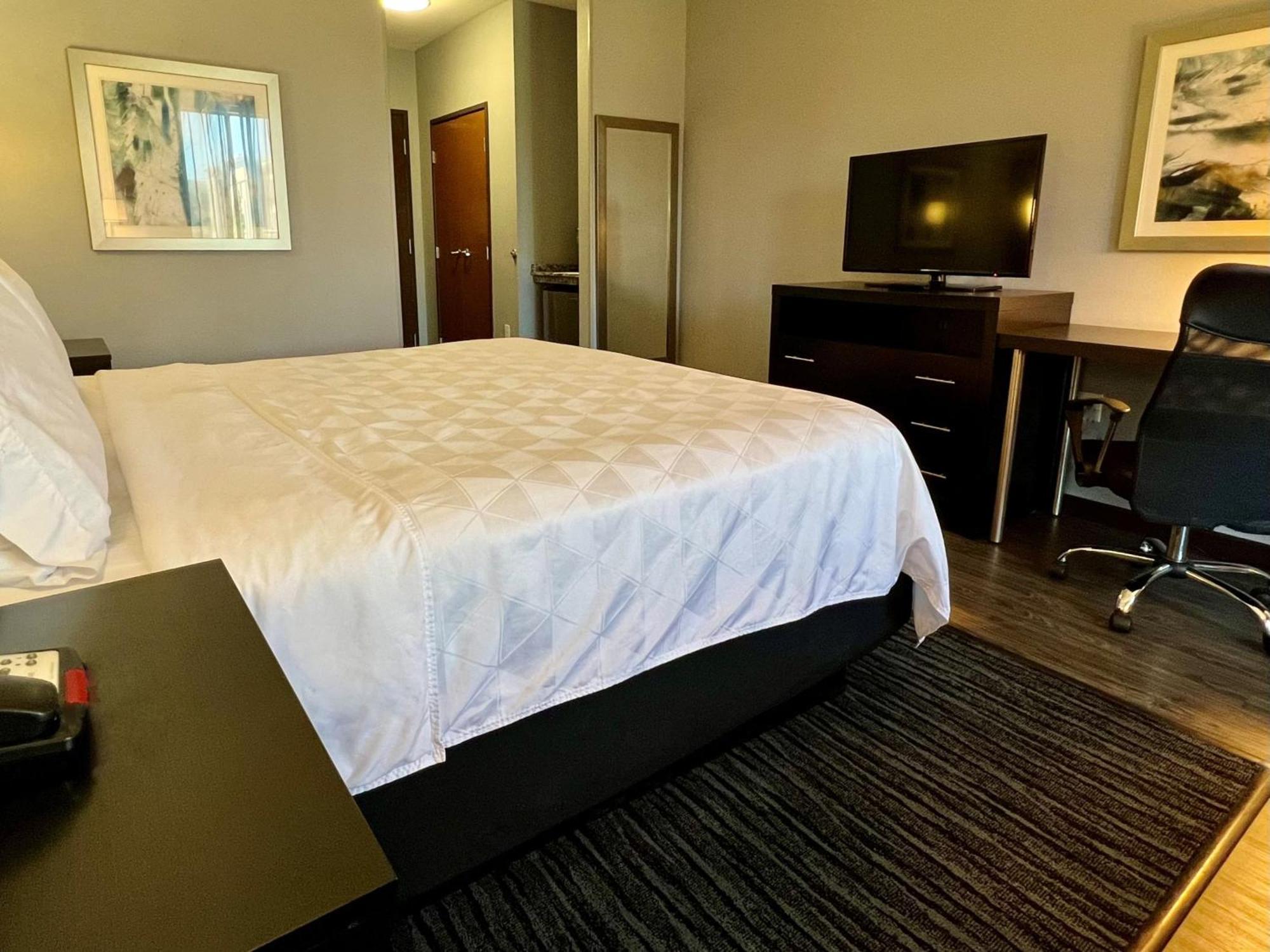 Holiday Inn Carlsbad/San Diego By Ihg Екстериор снимка